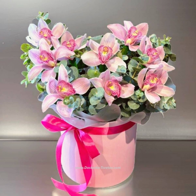 Цветы Розовая орхидея "Аура"